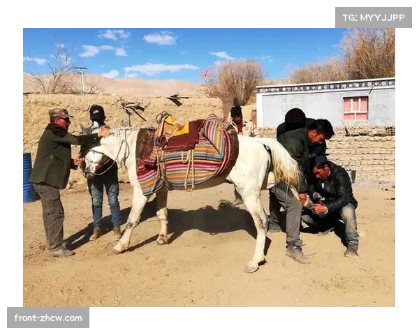 民族叼羊大赛引入马蹄铁传感器推动传统赛马智能化与量化管理创新 民族叼羊大赛引入马蹄铁传感器推动传统赛马智能化与量化管理创新